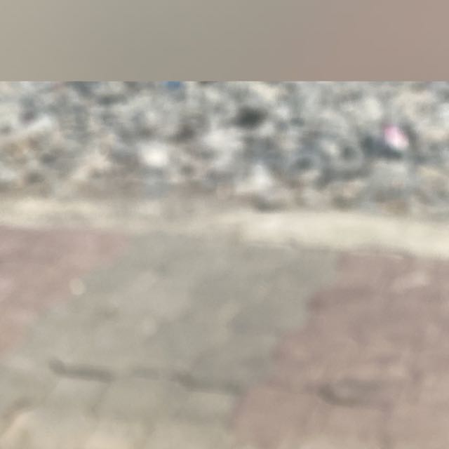 ALL EXIT PLEASE Whatsapp group