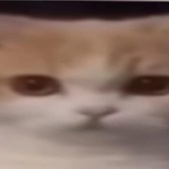 Orang-orang Normal ?