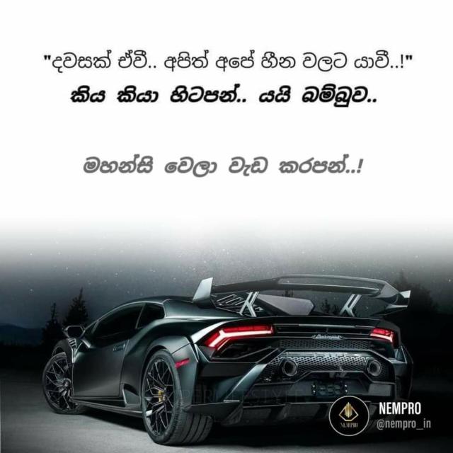හැමොටම usdt 100  Free ??