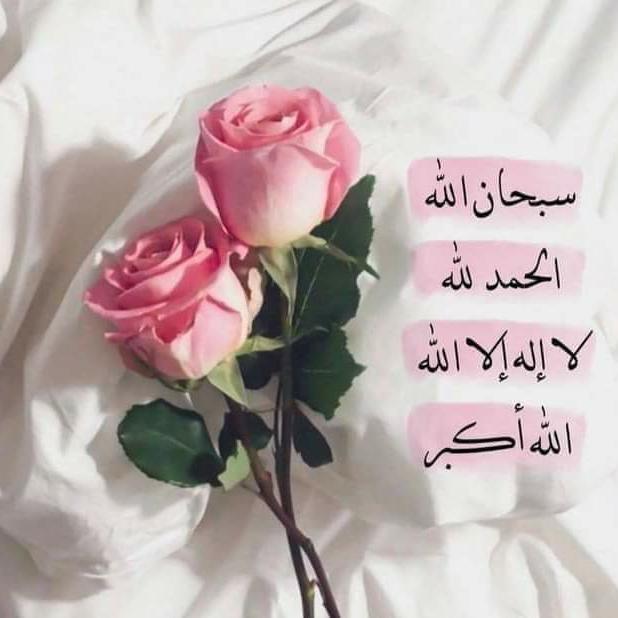 ?*Sidra Network*?