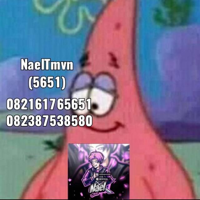 STOK NAEL X PARTNER