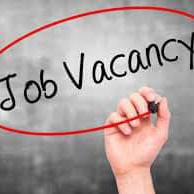 Job vancency ?‍?