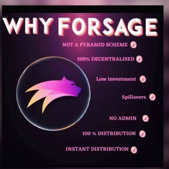 Forsage Earnings 