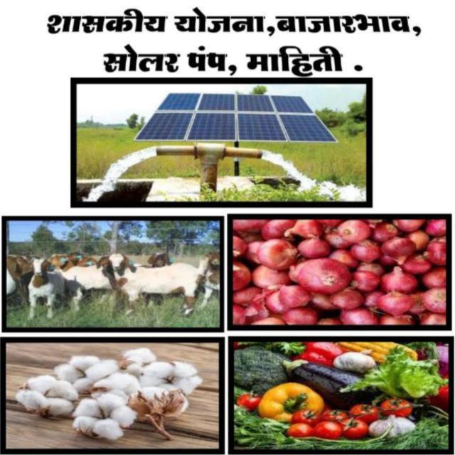शेती योजना, सोलार  योजना, बाजारभाव, दैनंदिन घडामोडी माहिती-12