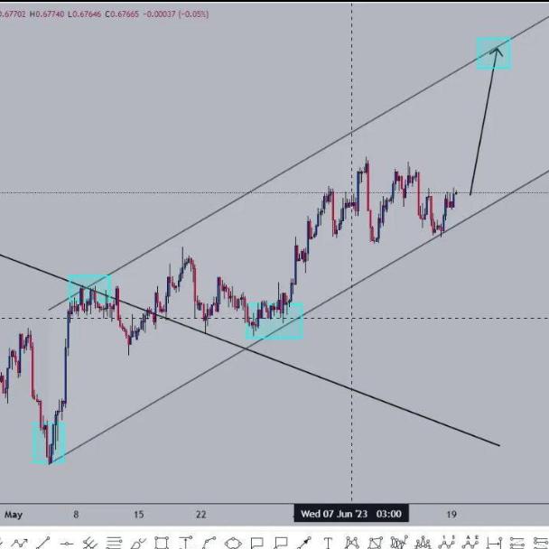 FOREX SIGNALS NETWORK Whatsapp group