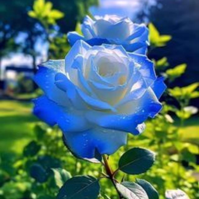❤️❤️?❤️দুষ্টামি❤️?❤️❤️