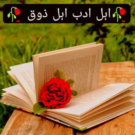 ☠️ اۂل ادب اۂل ذوقِ ☠️