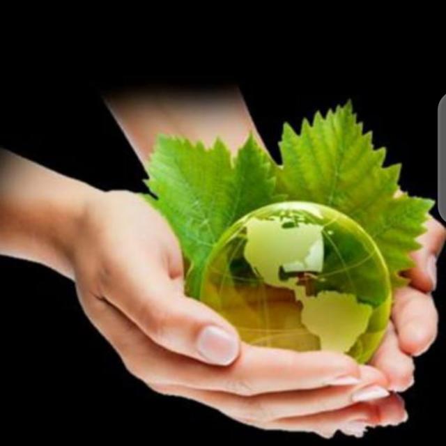 Earn Money Online ??