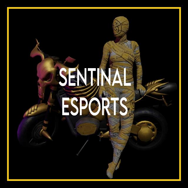 SENTINEL ESPORTS