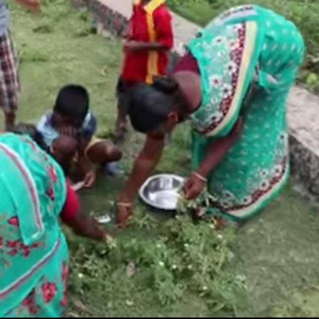 மூலிகை ?குரூப்பு?. 2.?