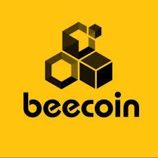 Beecoin 3rd team?