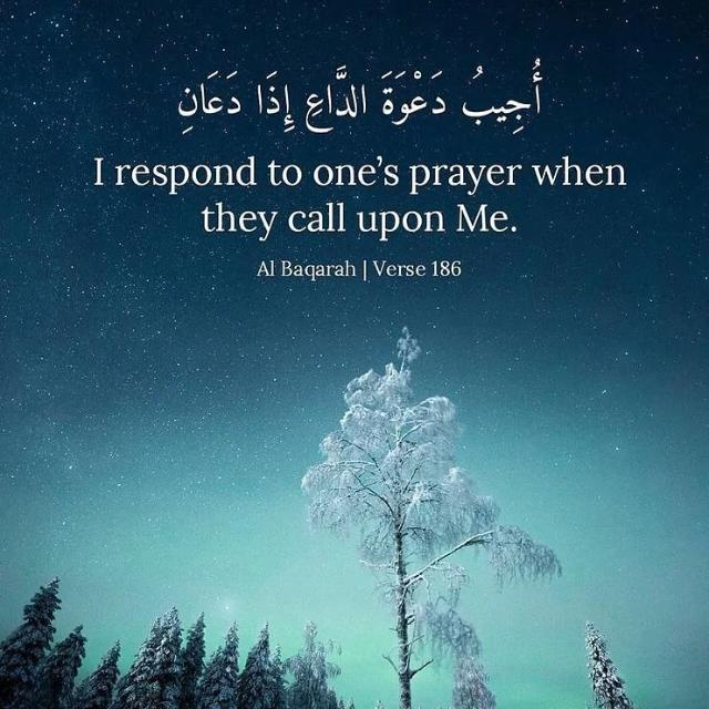 ❣️...دَعوتِ&nbsp;&nbsp;الٌی اَللہ....?