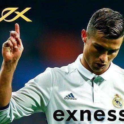 ماجستير تجارة الفوركس ?