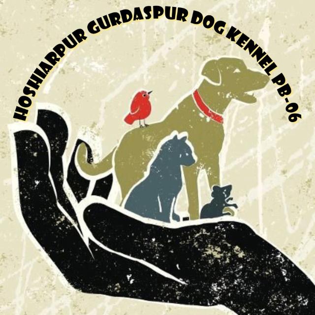 Hoshiarpur Gurdaspur Dog kennel PB-06 ??‍???