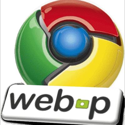 JUAL WEBP MURAH DAN TERPERCAYA ☑️