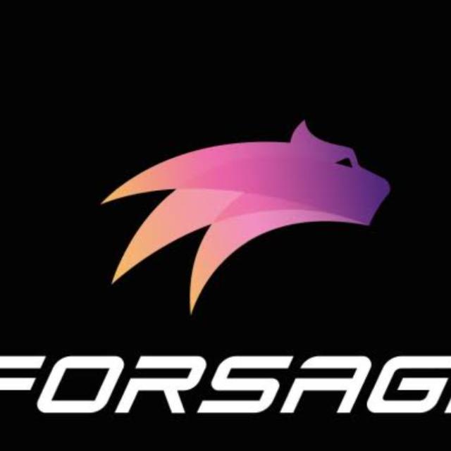 FORSAGE ONLINE EARNING