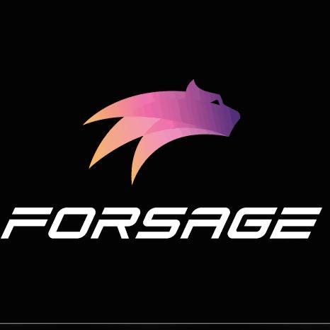 FORSAGE ????