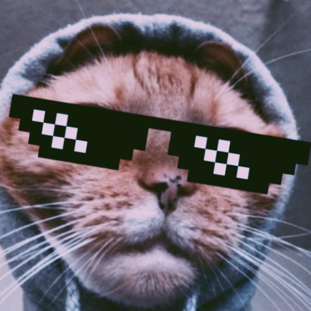 Meme srcuing video