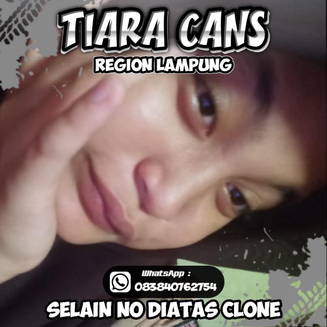 STOK¹ || TIARA CANS x LAOUJY STORE