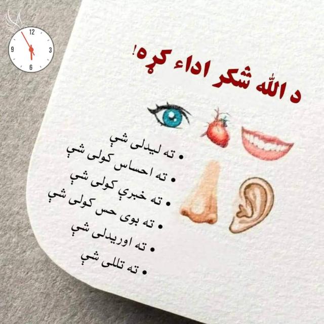 اسلامی ویڈیو گروف