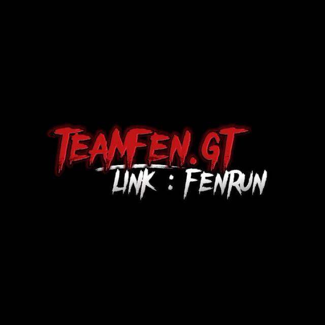 TEAMFEN.GT