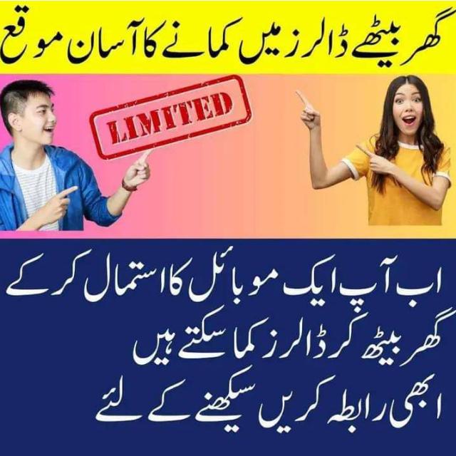 گھر میں بیٹھ کر ڈالر کمائیں