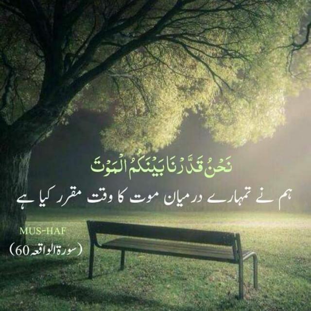 ??'?^   اسلا م اور د نیا