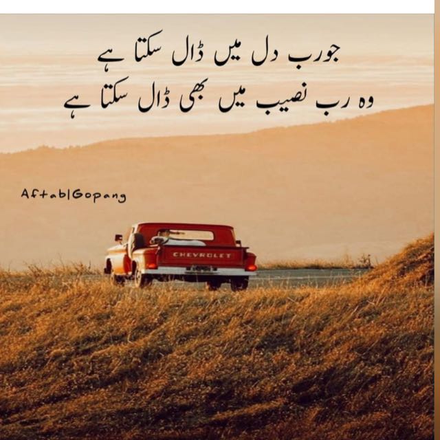 Only chat
