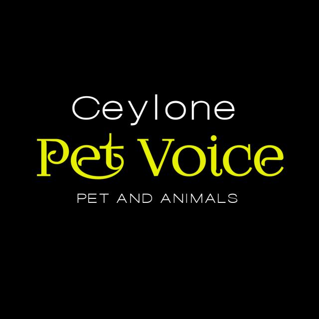 CEYLON PET VOICE - සත්ව පාලකයෝ??️?