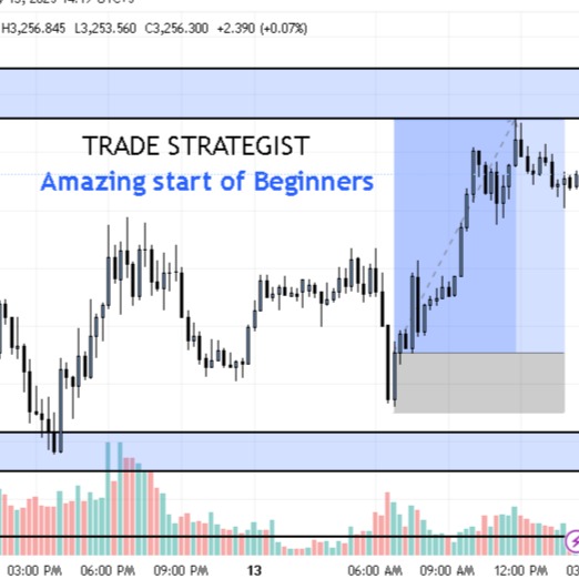 TRADE STRATEGIST?