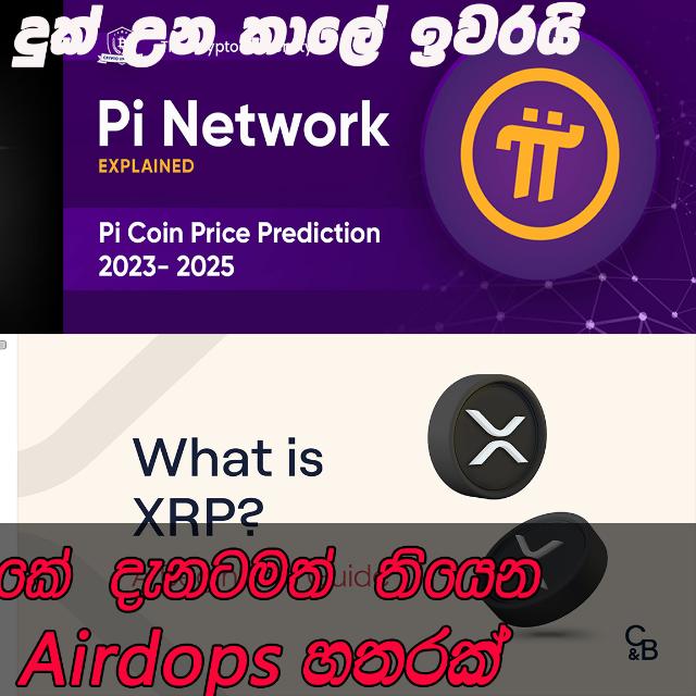 All airdrop Whatsapp group