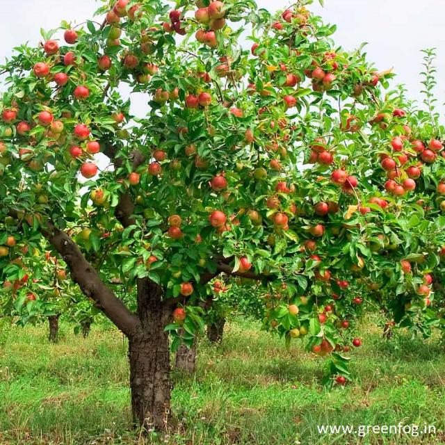 Universal Agri Import Export ?