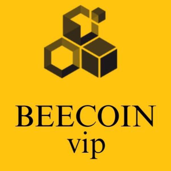 Beecoin Updates