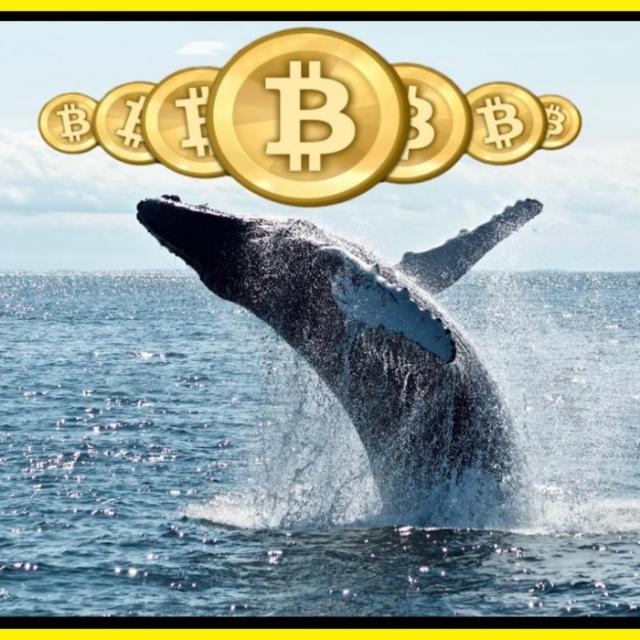 Crypto Whales??