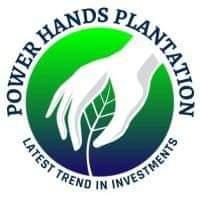 POWER HANDS PLANTATION Whatsapp group