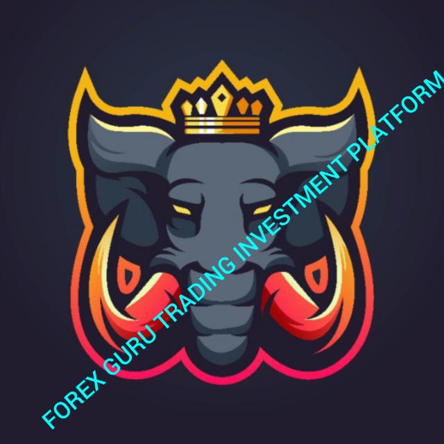FOREX GURU TRADING INVESTMENT PLANFROM