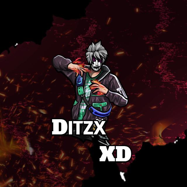 STOCK¹ DITZX XD ??