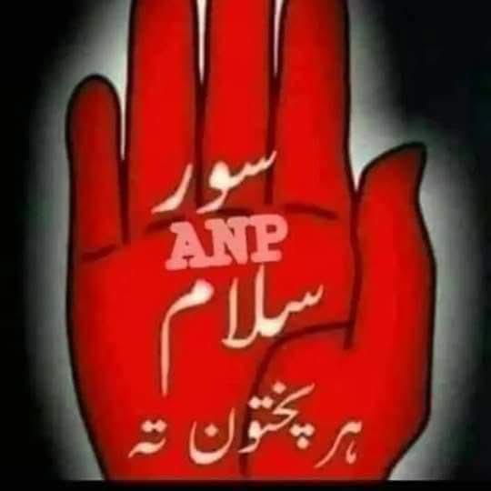 ANP_THE_RED_REVOLUTION?