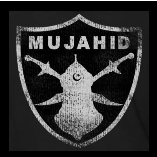 Mujahid e islam??