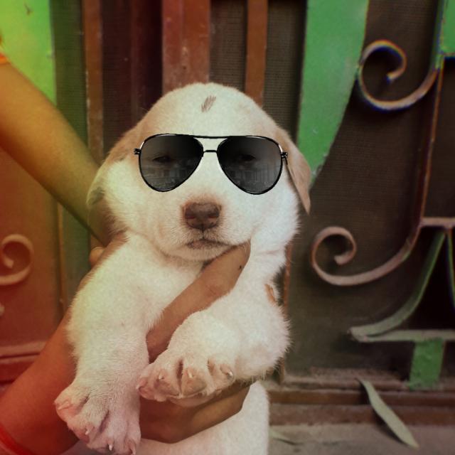 Entertainment/Masti???