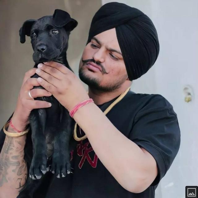 Only sidhu moosewala 5911 Whatsapp group