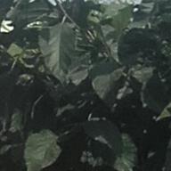 ?????️?️?