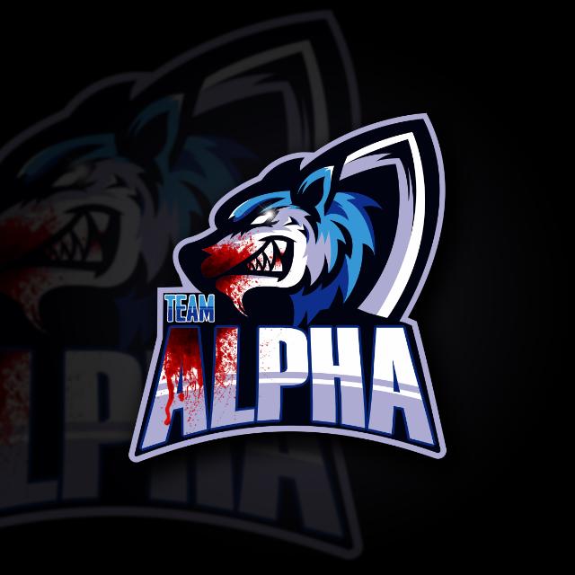 Team ヶAlpha