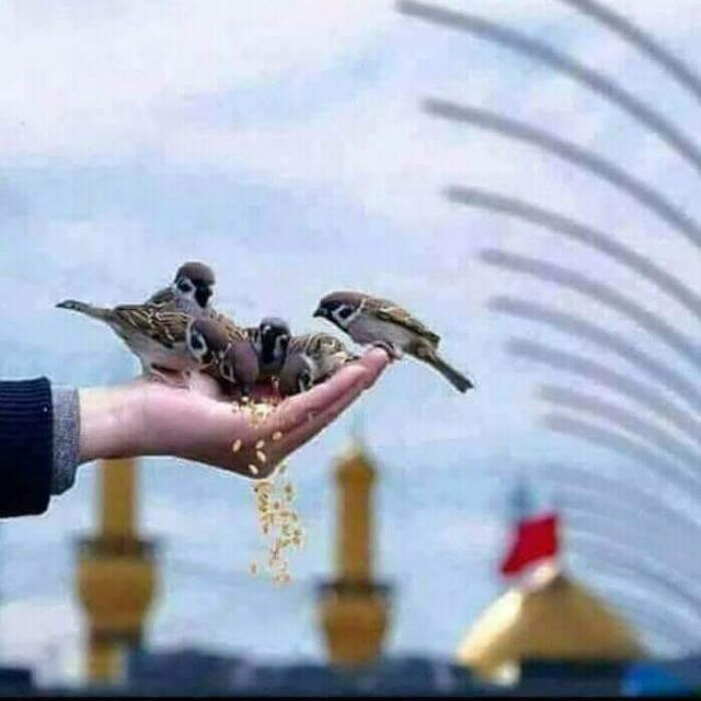 ☘️? اصلاح معاشرہ ??