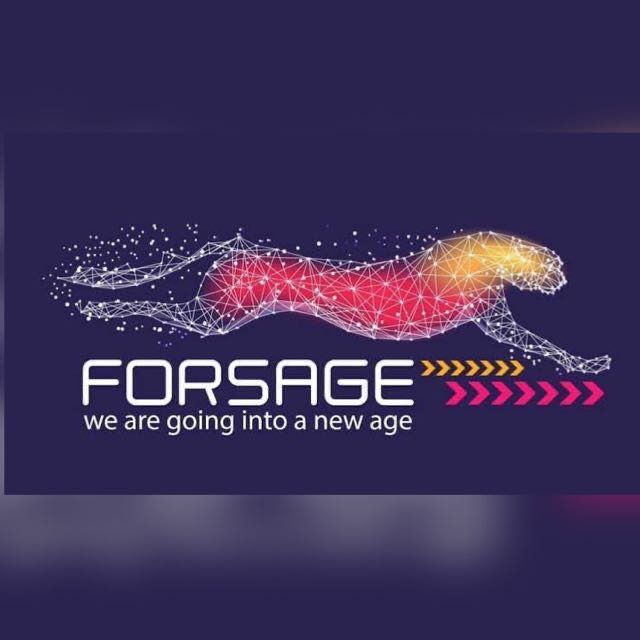 Forsage Busd Team working