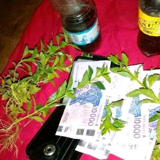 HOUNNON TCHEKPO Alfa Whatsapp group