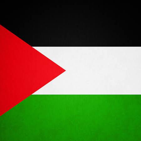 S a v e Palestine Whatsapp group