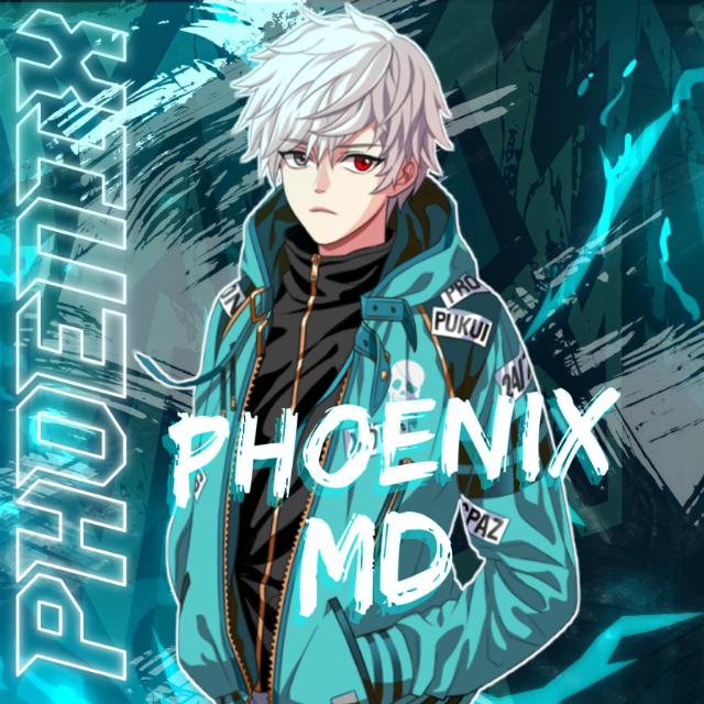 Phoenix-MD Updates?️