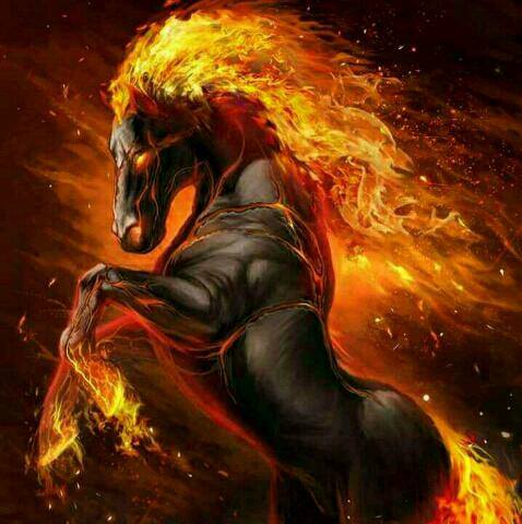 Taboo only Whatsapp group