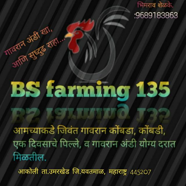 BS farming 135